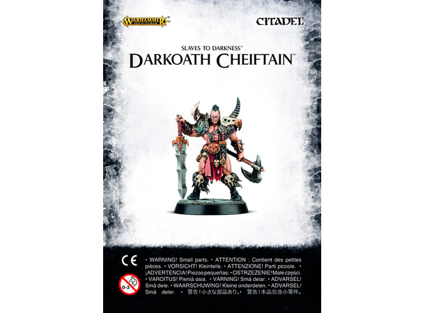 Slaves to Darkness Darkoath Chieftain Warhammer Age of Sigmar 